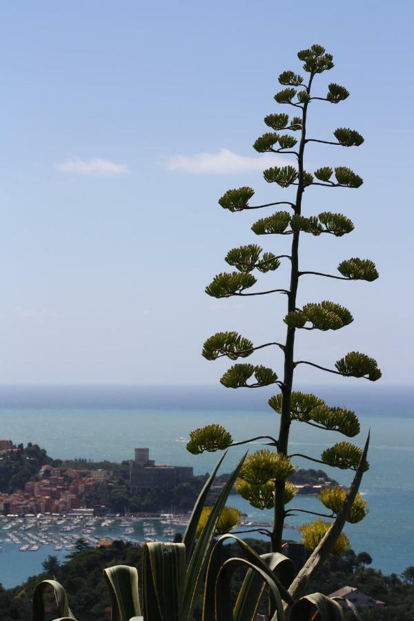 Agave Di Lerici Villa ภายนอก รูปภาพ