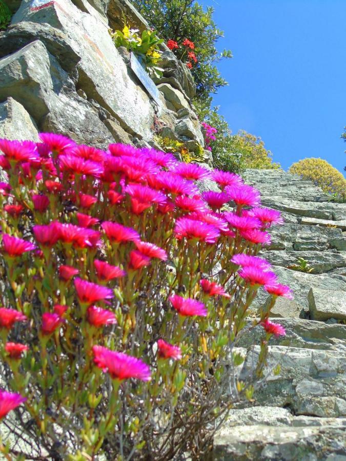 Agave Di Lerici Villa ภายนอก รูปภาพ