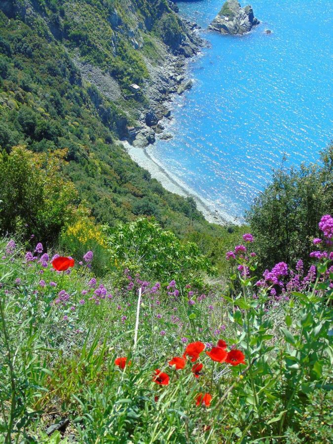 Agave Di Lerici Villa ภายนอก รูปภาพ