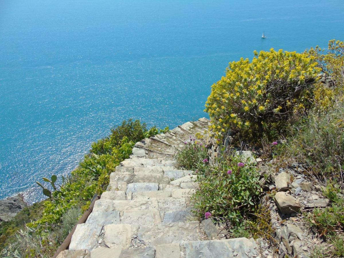 Agave Di Lerici Villa ภายนอก รูปภาพ