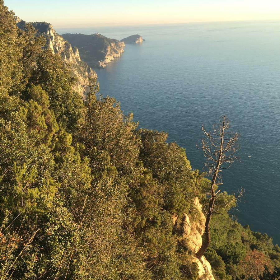 Agave Di Lerici Villa ภายนอก รูปภาพ